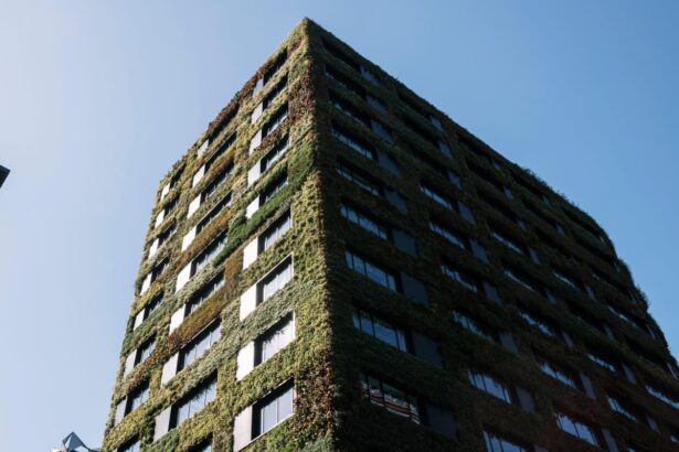 growth in global demand for green office buildings slows amid trump policies 691134c17703d