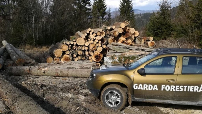 guvernul a aprobat reorganizarea garzii forestiere creste numarul posturilor pentru angajatii din teren 6916037fdf4bd