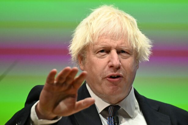 haosul din guvernul lui boris johnson si esecul de a lua in serios covid au dus la 23 000 de decese 691f4f948f0d2