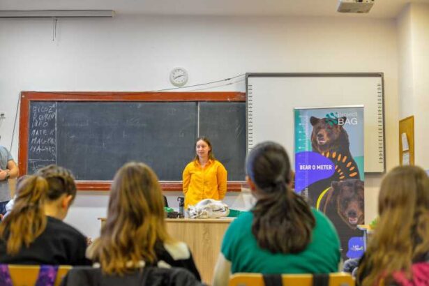 harghita elevii invata despre ursi si coexistenta lor cu oamenii prin proiectul tusnadecobear mobilcave 69160c19bbc1d