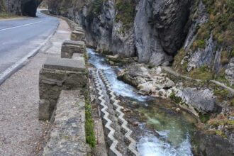 harghita scari de pesti pe raul bicaz realizate printr un proiect european de conservare a biodiversitatii acvatice 69246e306d430