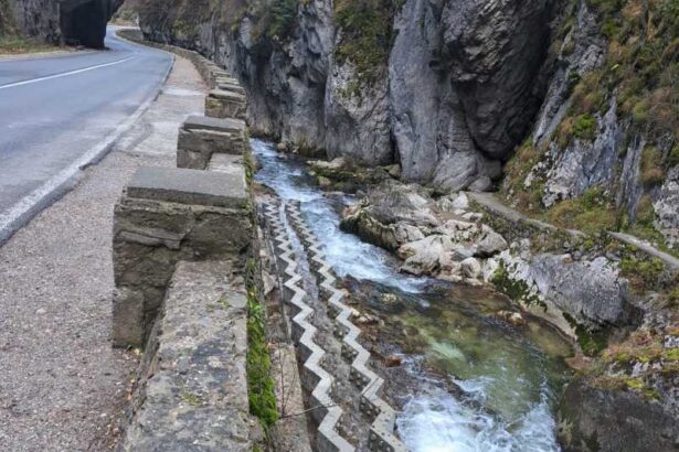 harghita scari de pesti pe raul bicaz realizate printr un proiect european de conservare a biodiversitatii acvatice 69246e306d430