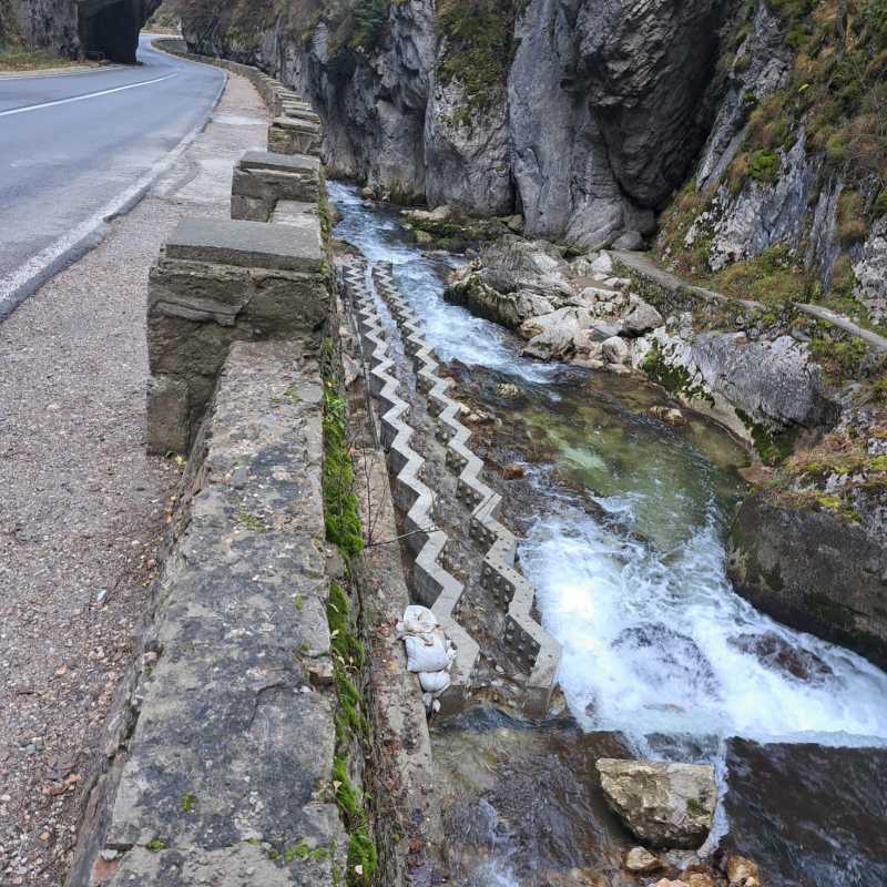 harghita scari de pesti pe raul bicaz realizate printr un proiect european de conservare a biodiversitatii acvatice 69246e306d430