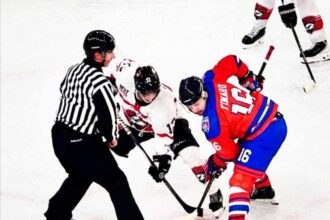 hochei victorii pentru red hawks si steaua in cupa romaniei 692b6ba61d53f