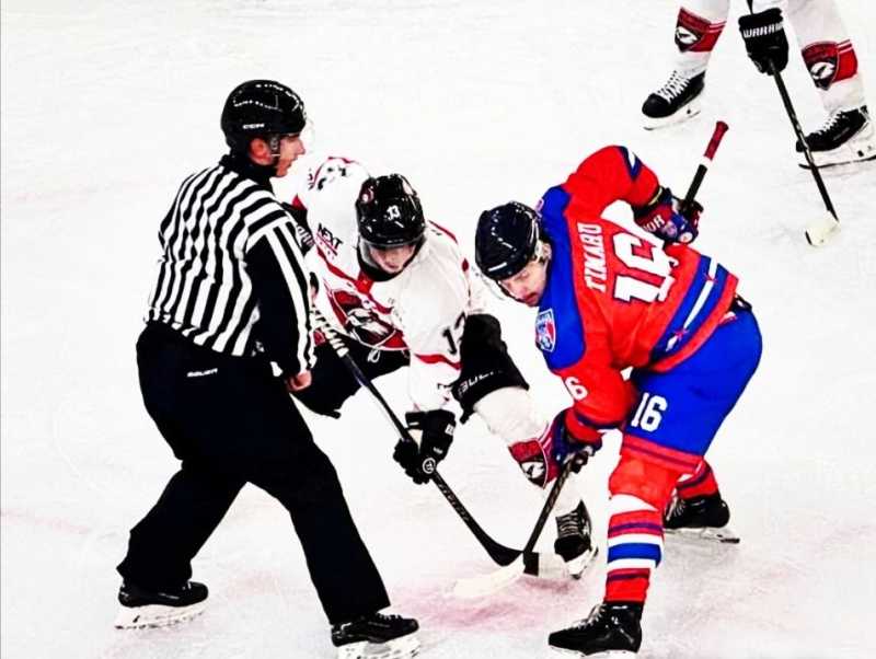 hochei victorii pentru red hawks si steaua in cupa romaniei 692b6ba61d53f