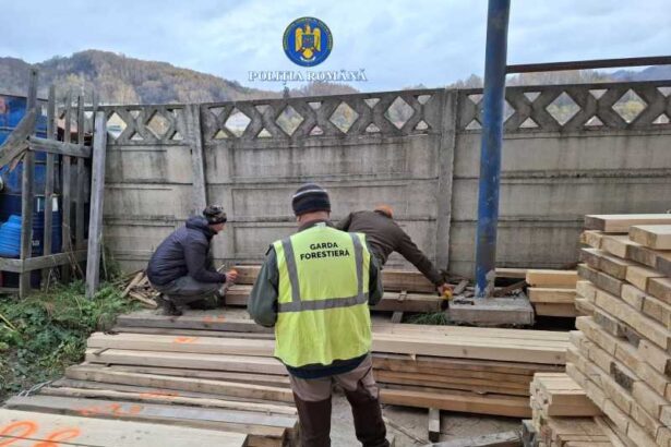 hunedoara amenzi de 50 000 lei in urma unor controale derulate la firme de exploatare forestiera 692177ef615d5