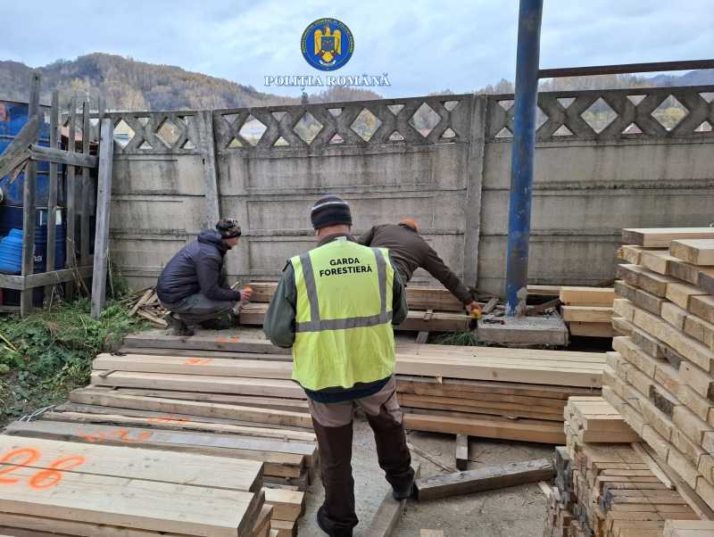hunedoara amenzi de 50 000 lei in urma unor controale derulate la firme de exploatare forestiera 692177ef615d5