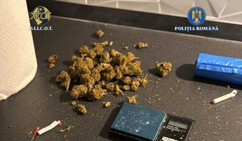 hunedoara perchezitii intr un dosar de trafic de droguri la timisoara 691dc3e50a5ba