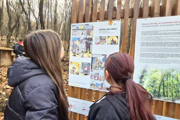 hunedoara poteca tematica ilustrata cu benzi desenate inspirate de jules verne deschisa spre cetatea colt galerie foto 69148f431c40b