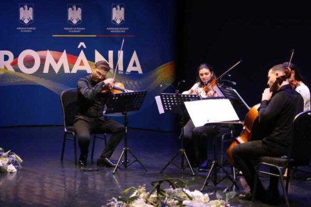 icr evenimente organizate de ziua nationala a romaniei in 24 de tari 6929992eb6d4b