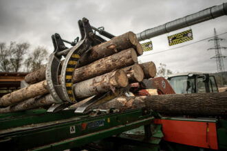 legea impotriva defrisarilor va fi amanata inca un an decide parlamentul european 692800fe5f441