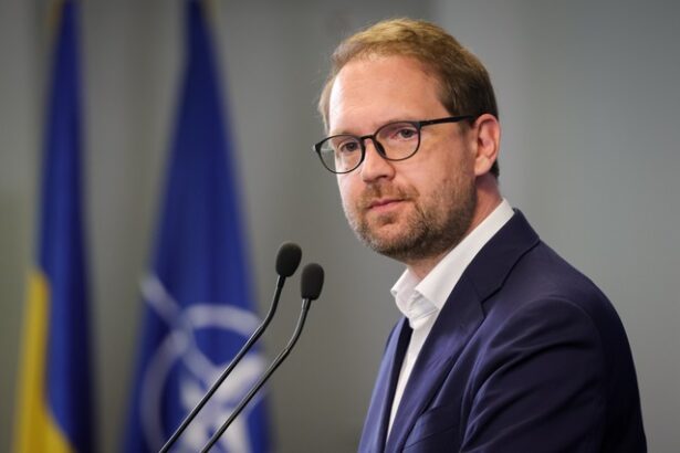 lideri ai usr mesaje de sustinere pentru vicepremierul oana gheorghiu dupa anuntul csm dominic fritz solidaritate cu oana gheorghiu libertatea de exprimare e sfanta 6912249b22790