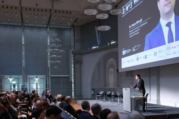 medat posibila cooperare romano germana in domenii tehnologice emergente precum inteligenta artificiala si securitatea cibernetica 6929ba02c10c3