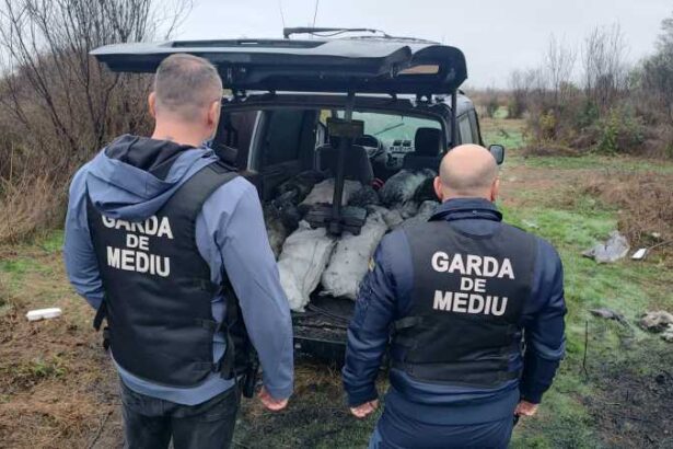 ministra mediului mafia gunoaielor trebuie oprita comisarii gnm au dat amenzi de 553 000 lei in dambovita 690b91b6e658e