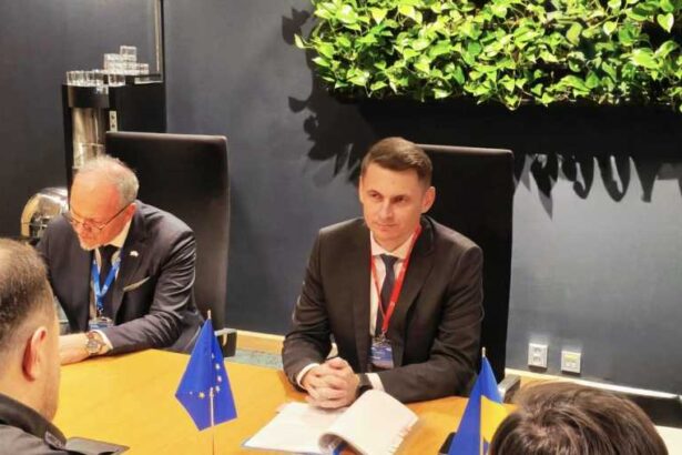 mircea abrudean o ucraina europeana presupune si respectarea deplina a drepturilor minoritatii romane din ucraina 6923599168ca0