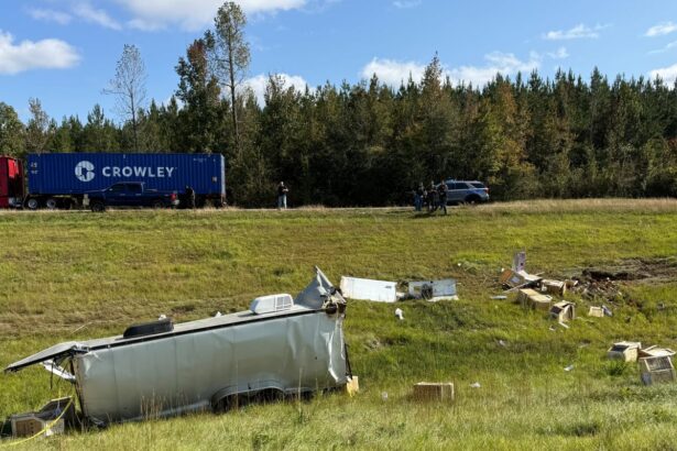 mississippi second monkey escaped from overturned truck fatally shot 690ab59cb064a