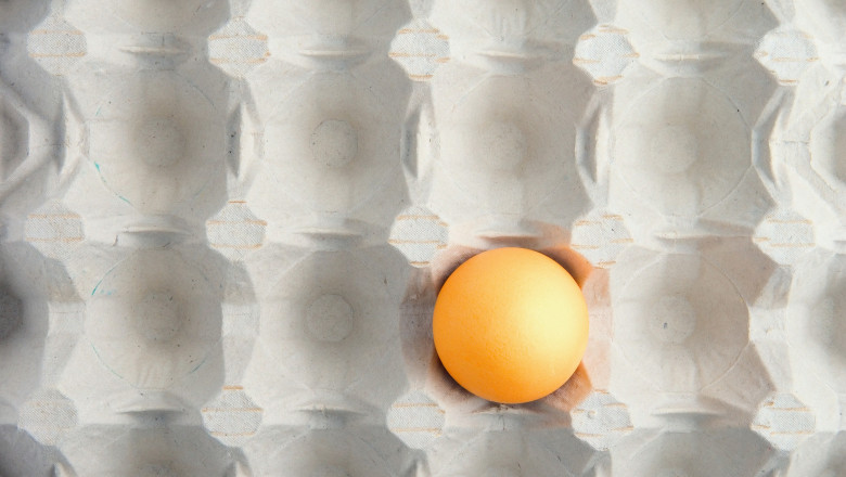 motivul pentru care in unele magazine se gasesc tot mai putine oua fermierii le exporta pentru ca primesc bani mai multi 6915a220539e6