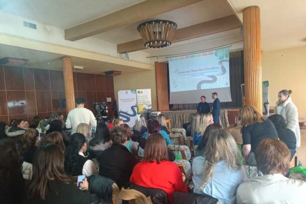 mures cadrele didactice interesate de promovarea educatiei ecologice si creativitatea prin utilizarea materialelor reciclabile 691352d57e12c