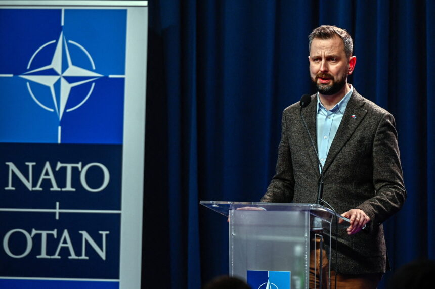 nato trebuie sa accelereze lucrarile privind protectia dronelor pe flancul estic spune polonia dupa incidentul din romania 6925cd77c9df0