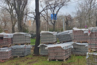 negoita acuzat ca vrea sa transforme parcul ior intr un balci de beton cetatenii cer printr o petitie protejarea spatiului verde 690b6e10878e9