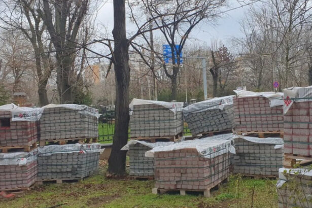 negoita acuzat ca vrea sa transforme parcul ior intr un balci de beton cetatenii cer printr o petitie protejarea spatiului verde 690b6e10878e9