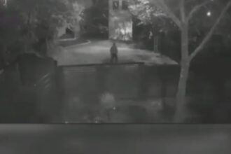 nereguli grave descoperite in dosarul femeii ucise de sot in teleorman procurorul de caz cercetat disciplinar 691acc373aebc