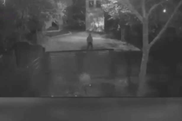 nereguli grave descoperite in dosarul femeii ucise de sot in teleorman procurorul de caz cercetat disciplinar 691acc373aebc