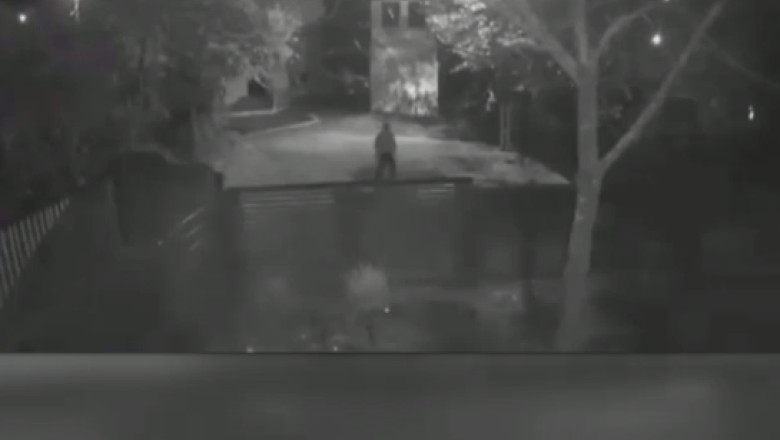 nereguli grave descoperite in dosarul femeii ucise de sot in teleorman procurorul de caz cercetat disciplinar 691acc373aebc