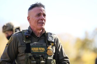 new orleans braces for trumps immigration crackdown we have rights 6921d26d900c5