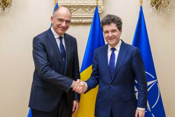 nicusor dan intalnire cu enrico letta un obiectiv central e ca romania sa participe activ la consolidarea economica europeana 691b7ea87e6dc