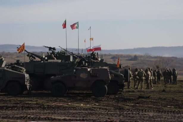 nicusor dan la incheierea exercitiului militar dacian fall 25 de la cincu a demonstrat importanta mobilitatii militare ca factor esential pentru descurajare si aparare colectiva 6915d642ef8f1
