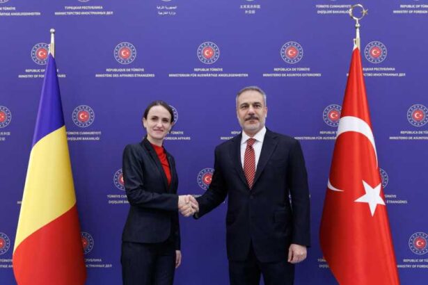 oana toiu presedintele turciei invitat in vizita oficiala de stat in romania anul viitor 690e3259de8e1