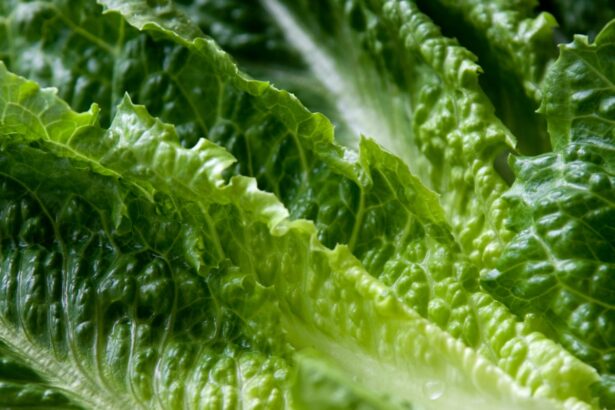 officials at us mexico border seize 10 3m in meth hidden in lettuce shipment 6925b4308f8e0