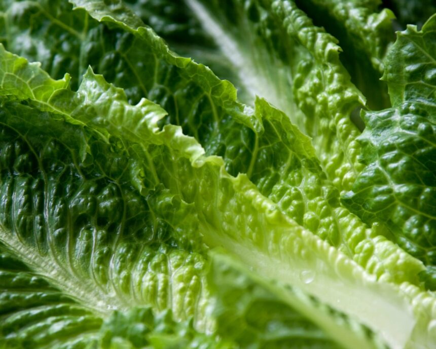 officials at us mexico border seize 10 3m in meth hidden in lettuce shipment 6925b4308f8e0