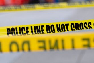 outcry as tiktok livestreamer who allegedly hit and killed man asks for donations 69131e682fa0e