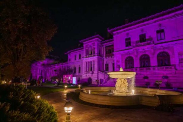 palatul cotroceni iluminat in violet in semn de solidaritate cu familiile nascutilor prematur 691b7b1ee184f