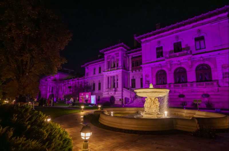 palatul cotroceni iluminat in violet in semn de solidaritate cu familiile nascutilor prematur 691b7b1ee184f