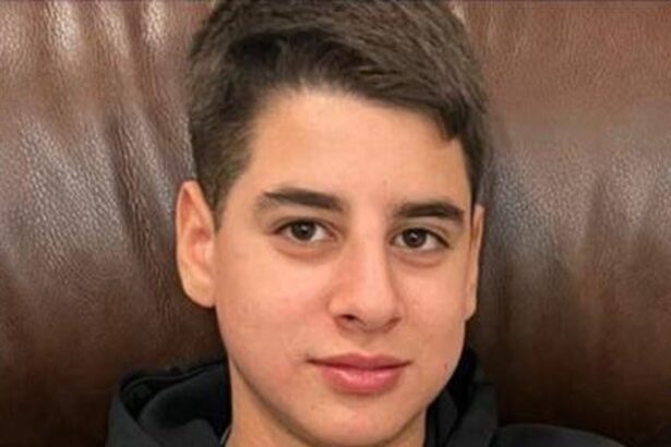 palestinian american teenager held in israeli prison freed after nine months 69287926db06b