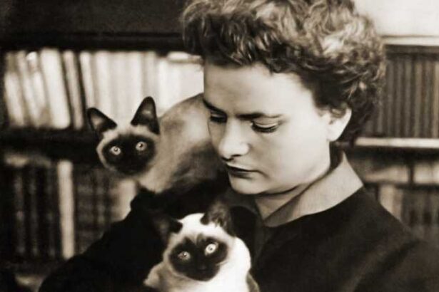 personalitatea zilei scriitoarea elsa morante 69257125d5ddb