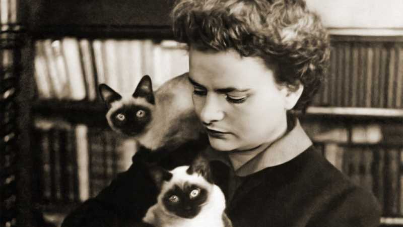 personalitatea zilei scriitoarea elsa morante 69257125d5ddb