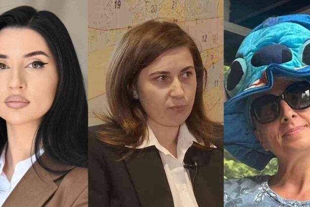 manolache, Craciun, Ionescu