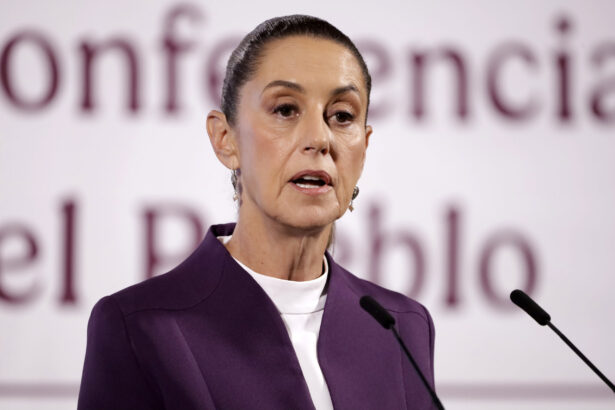 presedinta mexicului despre o potentiala actiune militara americana nu se va intampla 690a2d14a31c0