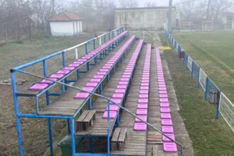 presedintele cj timis firma care demoleaza stadionul dan paltinisanu avea obligatia sa respecte legislatia de mediu 691344c54005c