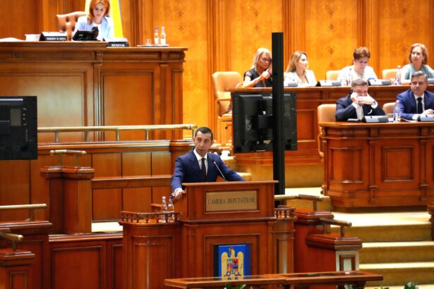 presedintele pnl mures primariile vor putea externaliza serviciile pentru gestionarea cainilor fara stapan 690b7b37d64df