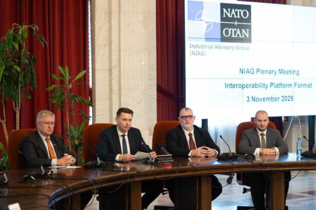 presedintele senatului la reuniunea grupului consultativ industrial al nato a reiterat angajamentul romaniei fata de obiectivele organizatiei 6908ad2b2df91