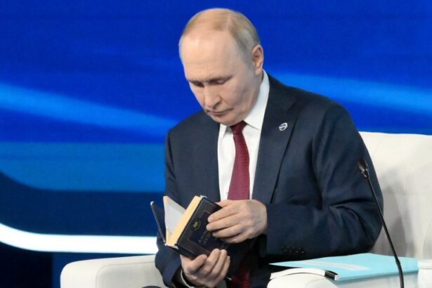 reactia lui putin dupa analiza planului de pace propus de americani liderul rusiei nu a spus nimic despre propunerile europenilor 69245d44abdbc