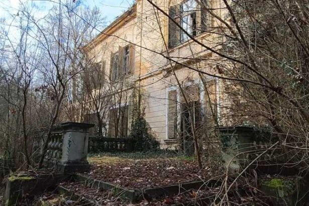 reportaj arad comuna bata deplange starea castelului bulci ajuns o ruina din simbol al vaii muresului 69282b9d72d94