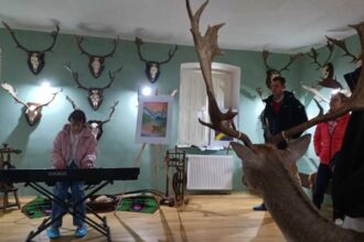 reportaj timis muzeul cinegetic charlottenburg o poveste a padurii de la contele winphen in unicul sat rotund din tara 6926d44079301