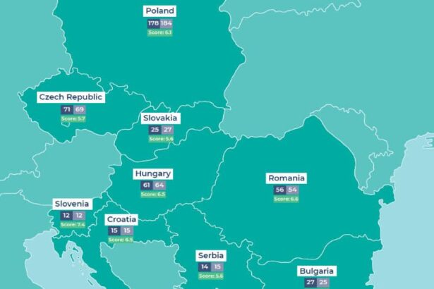 romania a doua cea mai mare economie din regiune are doar 56 de companii in top 500 din ece lunga lista de probleme si specificul mediului de business national 690b7b6f8593a