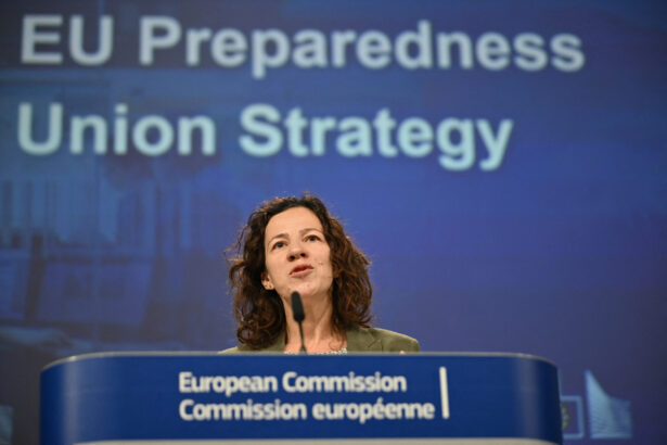 roxana minzatu vicepresedinta executiva a comisiei europene in vizita oficiala la bucuresti agenda evenimentelor 691f13dd75760